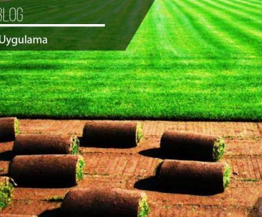 Tips for Installing Rolled Turf